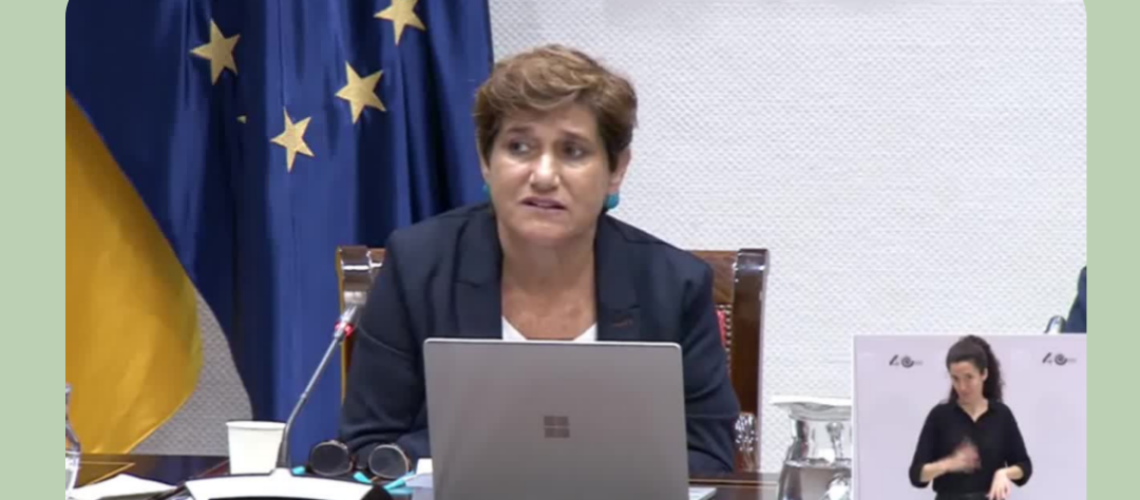 blog6_parlamento_canarias